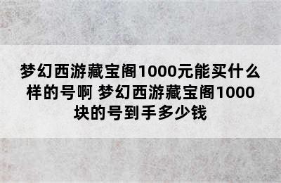 梦幻西游藏宝阁1000元能买什么样的号啊 梦幻西游藏宝阁1000块的号到手多少钱